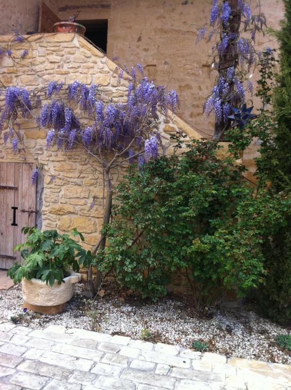 Le Clos Des Anges